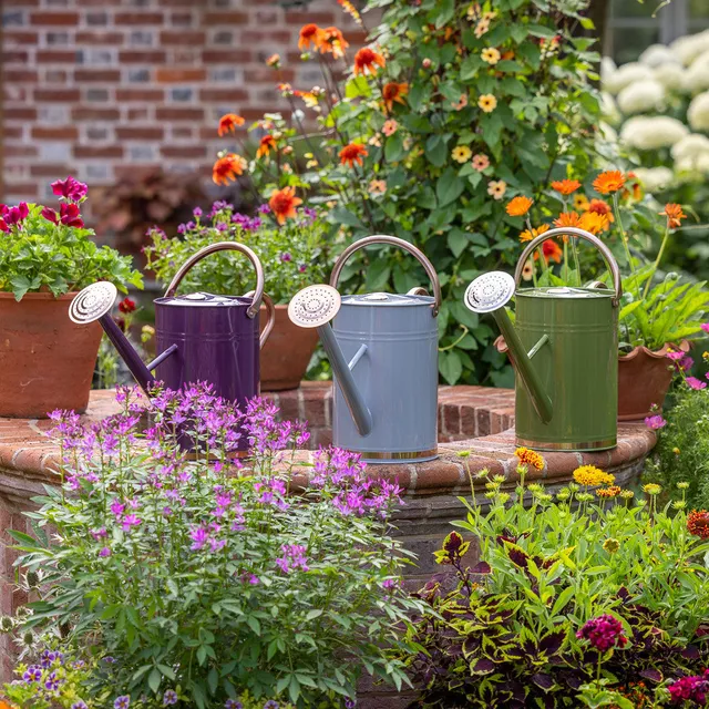 Sarah Raven Gardening 9L Gießkanne Grün 9 Liter Stahl