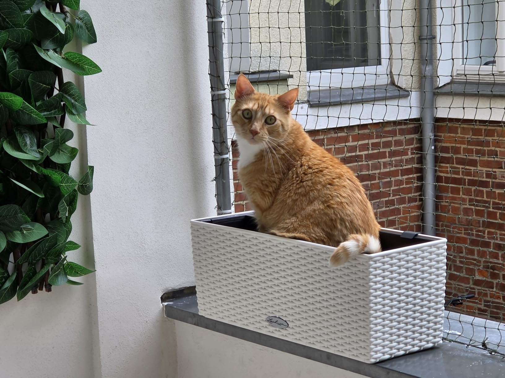 Lechuza Balconera Cottage 50 Pflanzgefäß Granit Bewässerung
