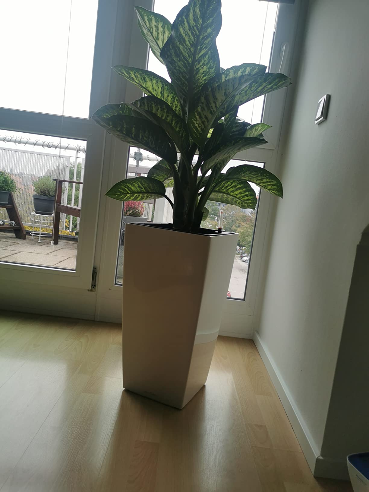 Lechuza CUBICO Premium 50 Pflanzgefäß Scarlerot Hochglanz