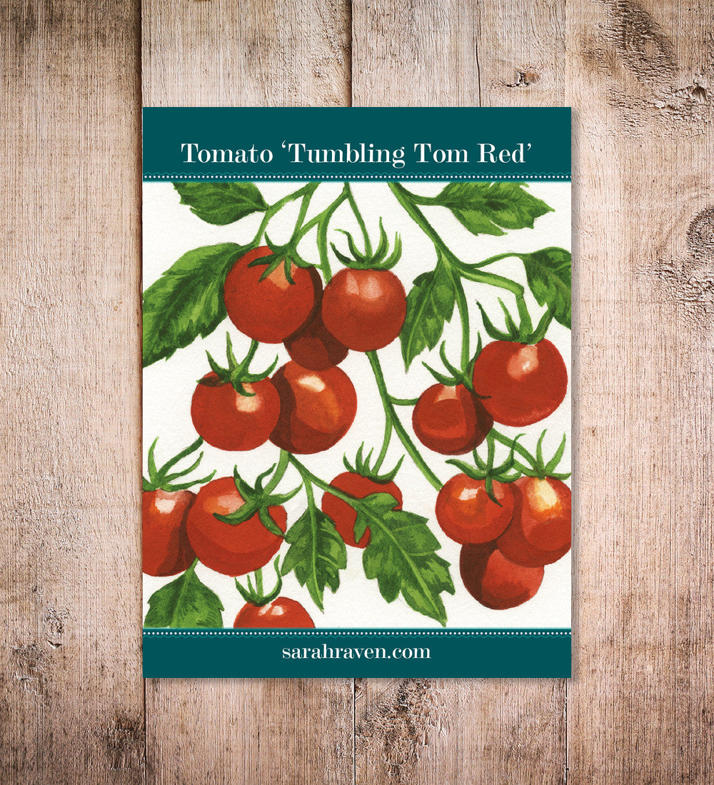Sarah Raven Tomato Tumbling Tom Red Samen 20 Samen hängend