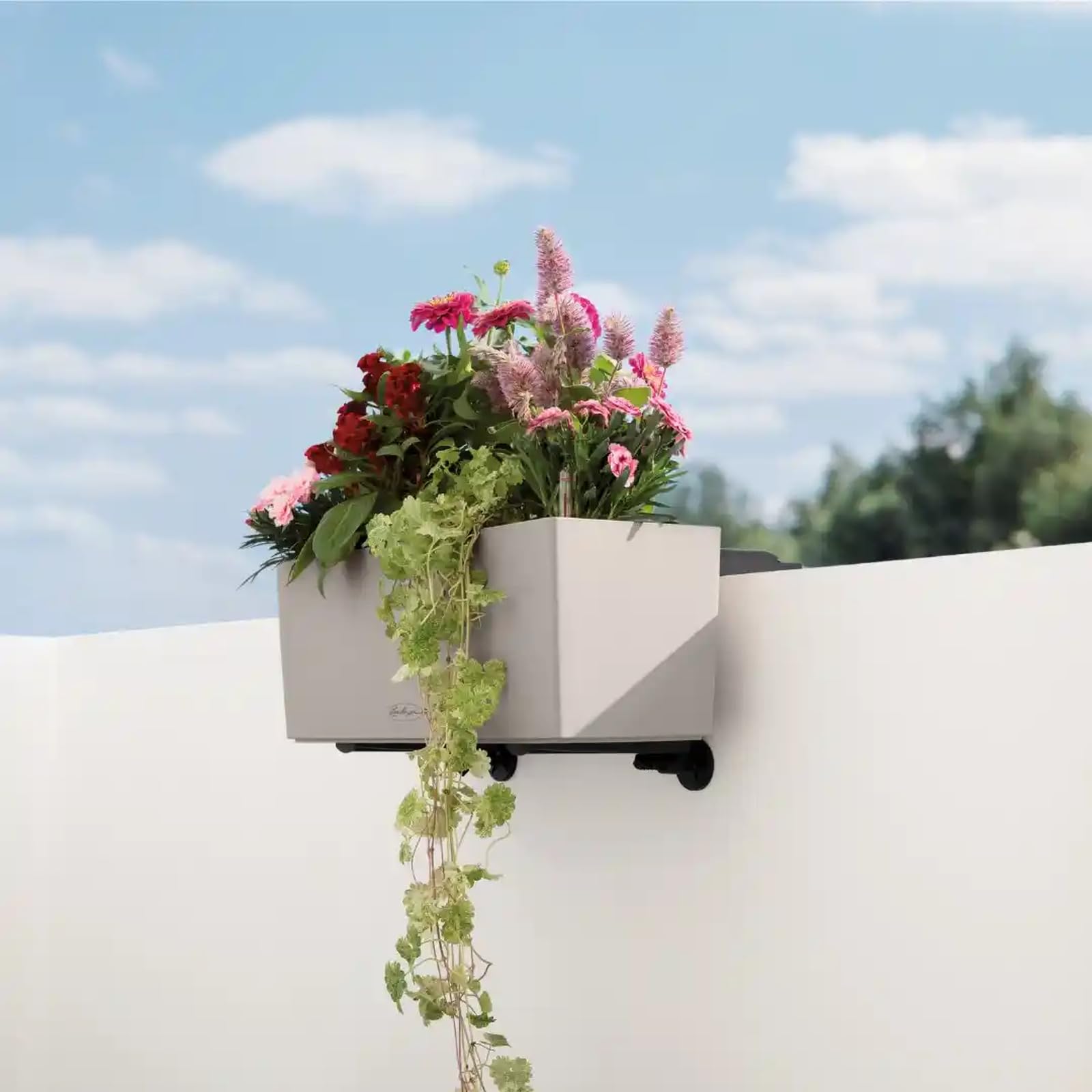Lechuza Balconera Wall Halter Schwarz für Balkonkasten