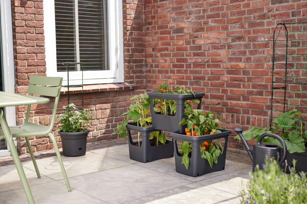 elho Green Basics Stack & Grow 50 Übertopf Schwarz Gemüse