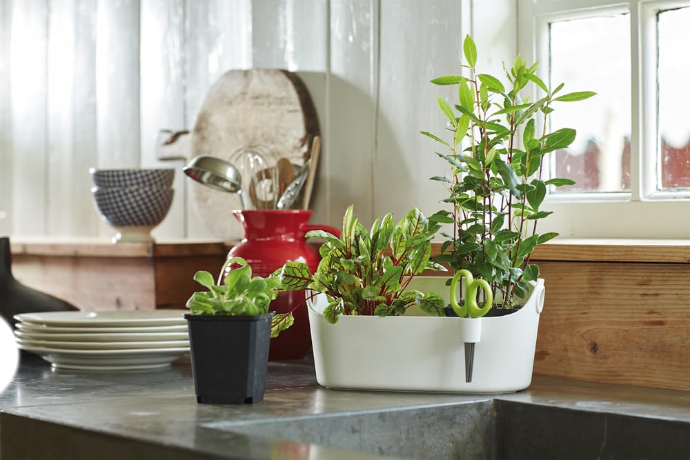 elho Brussels Herbs Station 30cm Blumentopf Weiß Kräuter