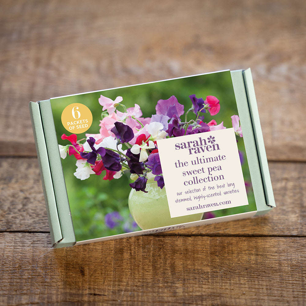 Sarah Raven Sweet Pea Samen Geschenkbox 6 Tüten Duft