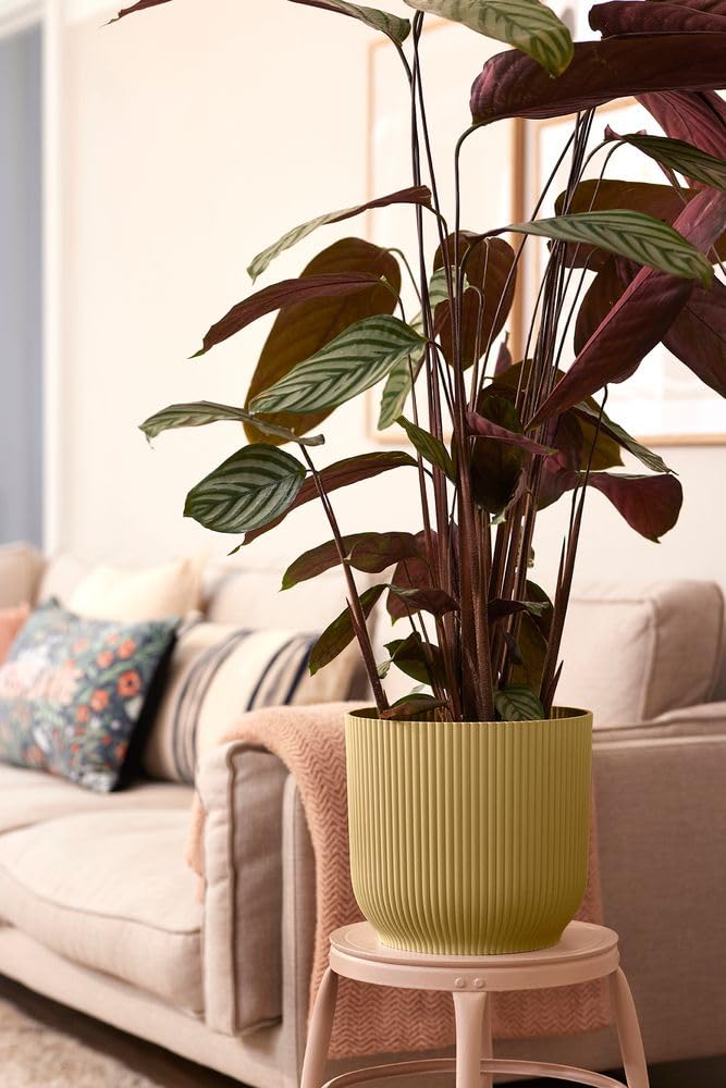 elho Vibes Fold Rund 35 Blumentopf Buttergelb mit Rollen