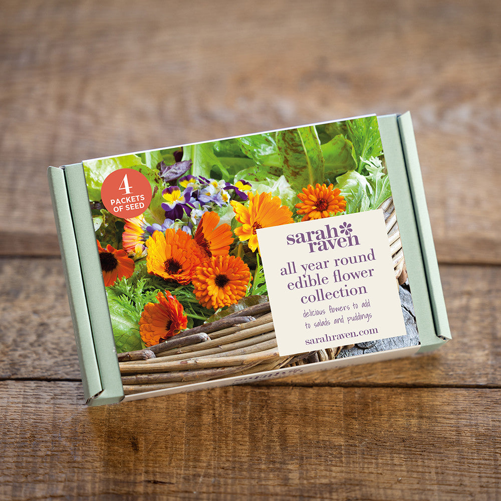 Sarah Raven Seeds Essbare Blüten Samen 4 Packungen Geschenkbox
