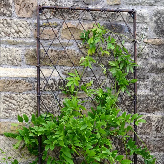 Sarah Raven Gardening Wall Trellis Rankgitter 1m Stahl rost