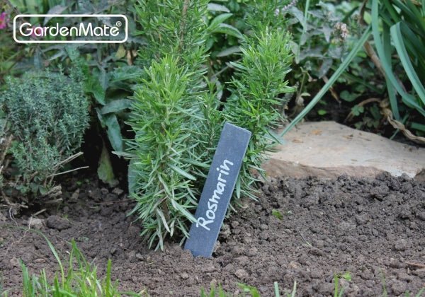 GardenMate Pflanzschilder Schiefer XL Stecker 20 cm 8er Set