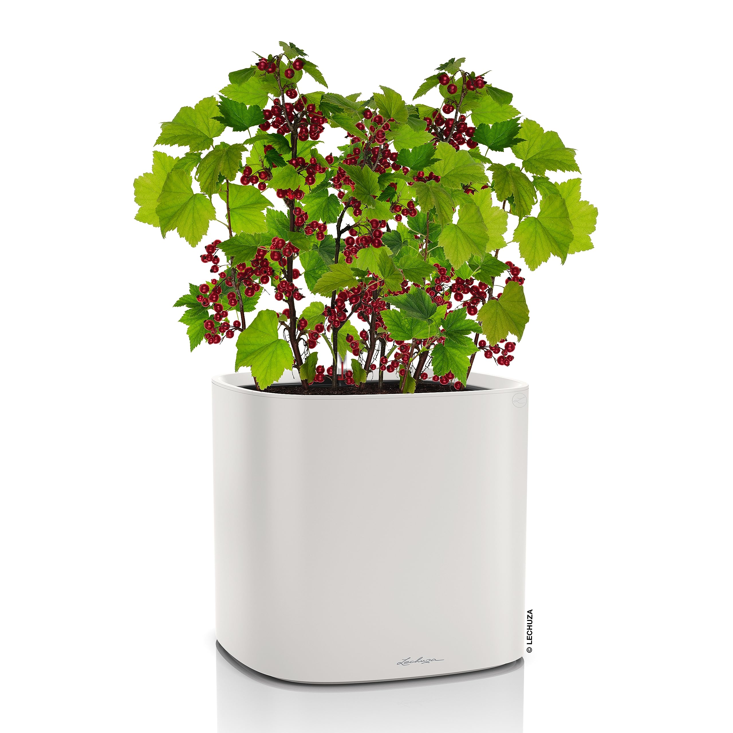 Lechuza PILA Planter Pflanzgefäß lichtgrau 35 cm Bewässerung