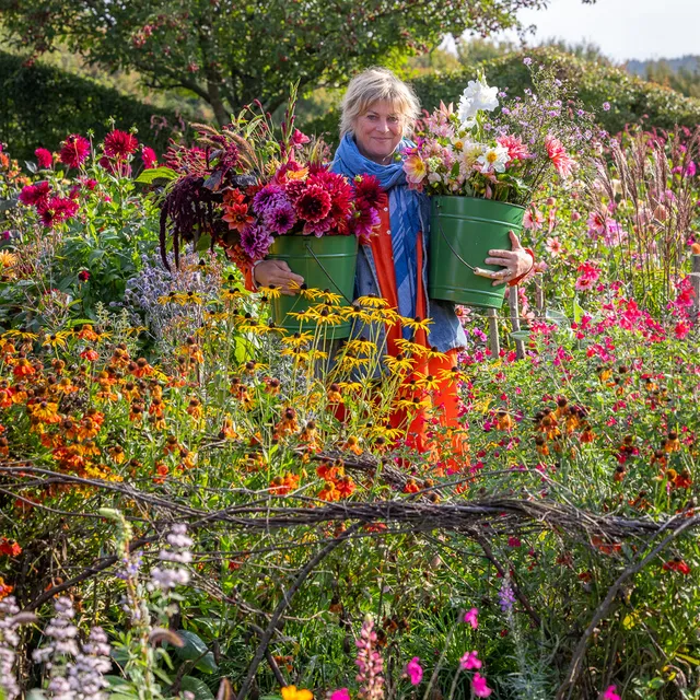 Sarah Raven Courses Kaleidoscope Garden Gartenkurs 15. Oktober