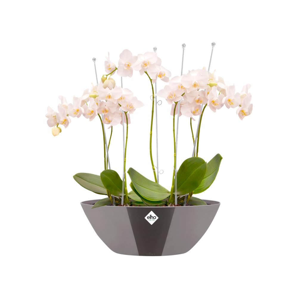 elho Brussels Diamond Oval 20 Blumentopf Oyster Pearl