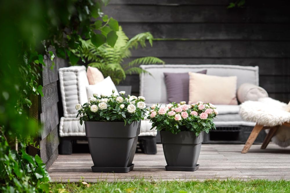 elho Vibia Campana 37 Blumentopf Anthracite Quadratisch