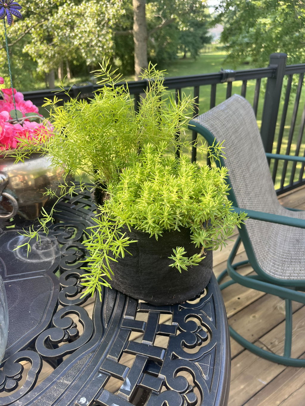 Smart Pot Fabric Planters Stofftopf atmungsaktiv