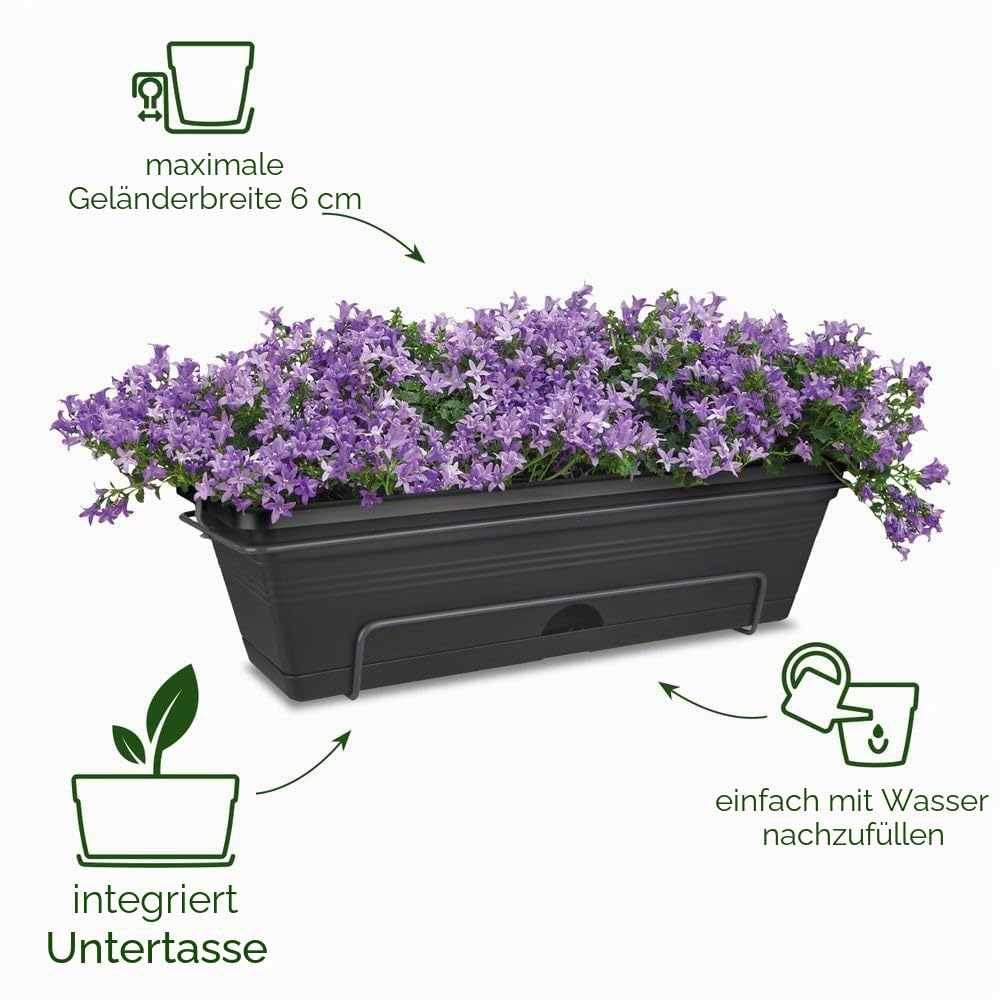 elho Green Basics Balkonkasten 50cm schwarz mit Untersetzer