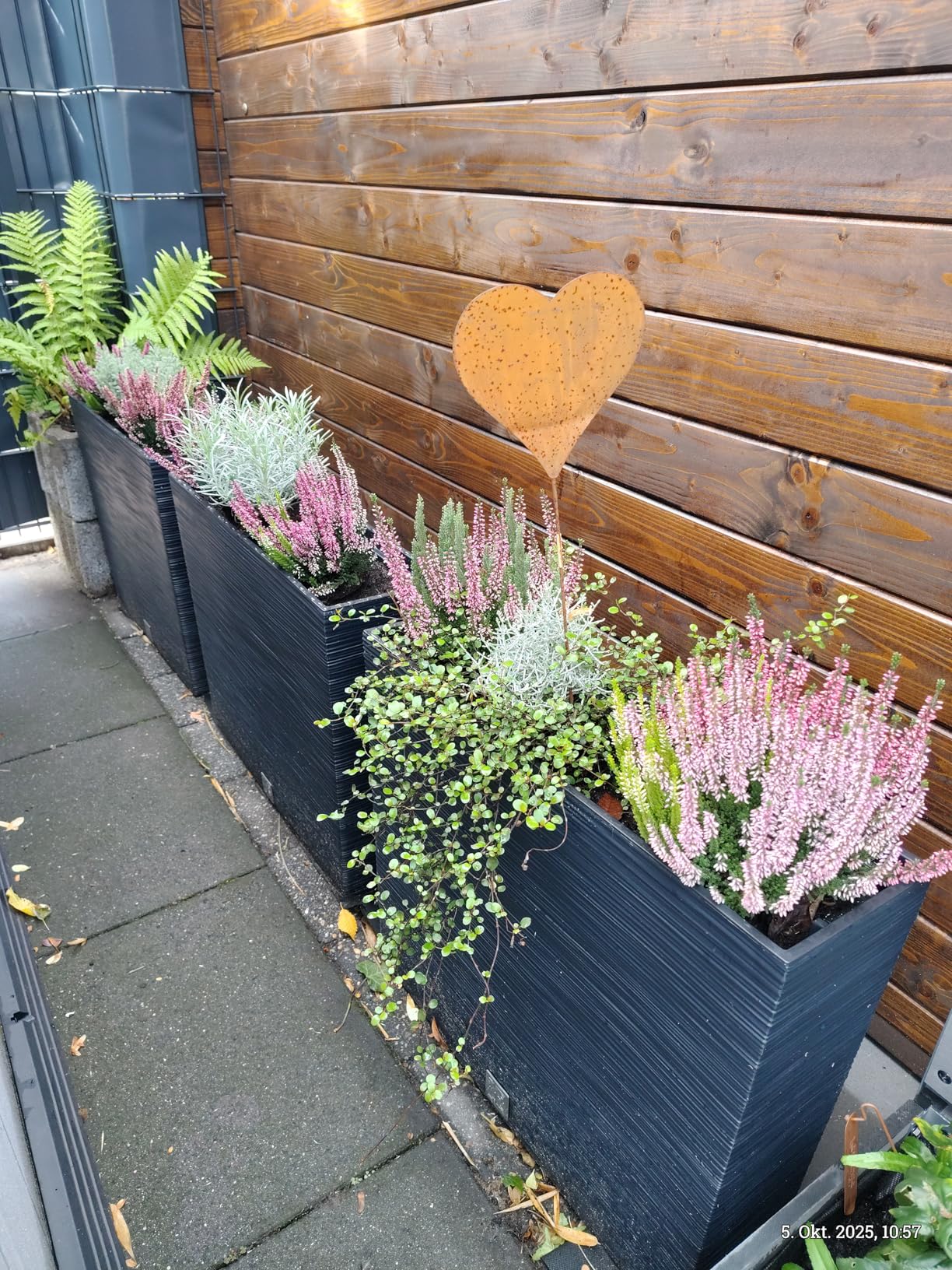 Prosperplast Boardee Blumenkasten Anthrazit 58 cm mit Einsatz