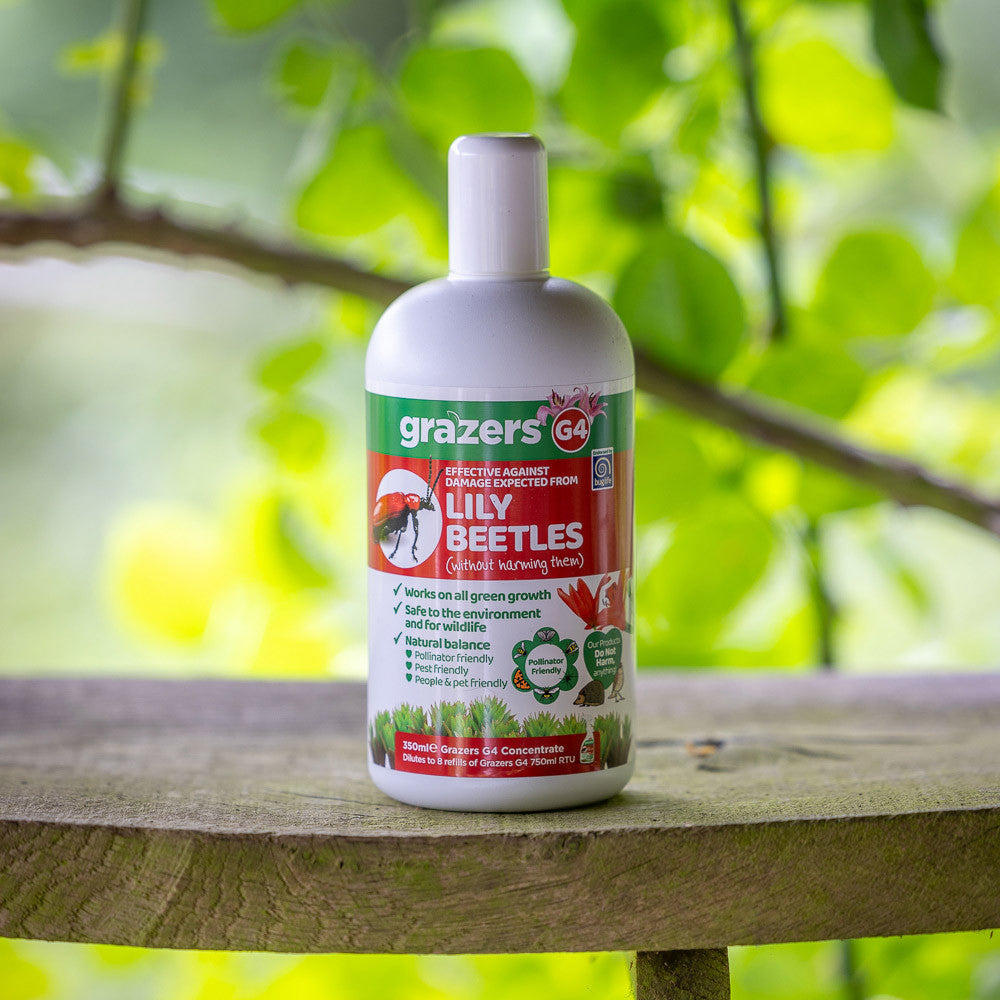 Sarah Raven Grazers Lilien-Schutz 350ml gegen Lilienhähnchen