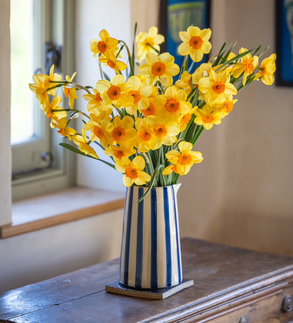 Sarah Raven Bulbs Narcissus 'Kedron' Narzissen 15 Zwiebeln duftend