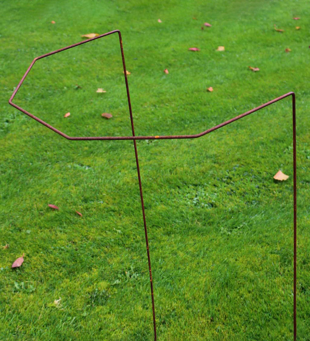 Sarah Raven Gardening Rustic Herbaceous Pflanzstütze 40x40 4er Set Rost