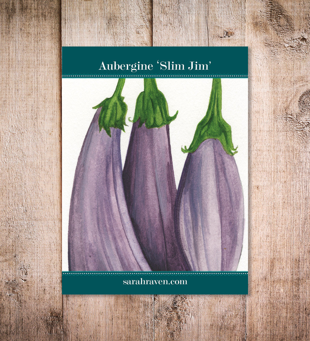 Sarah Raven Seeds Aubergine Slim Jim Auberginensamen 50 Samen lang