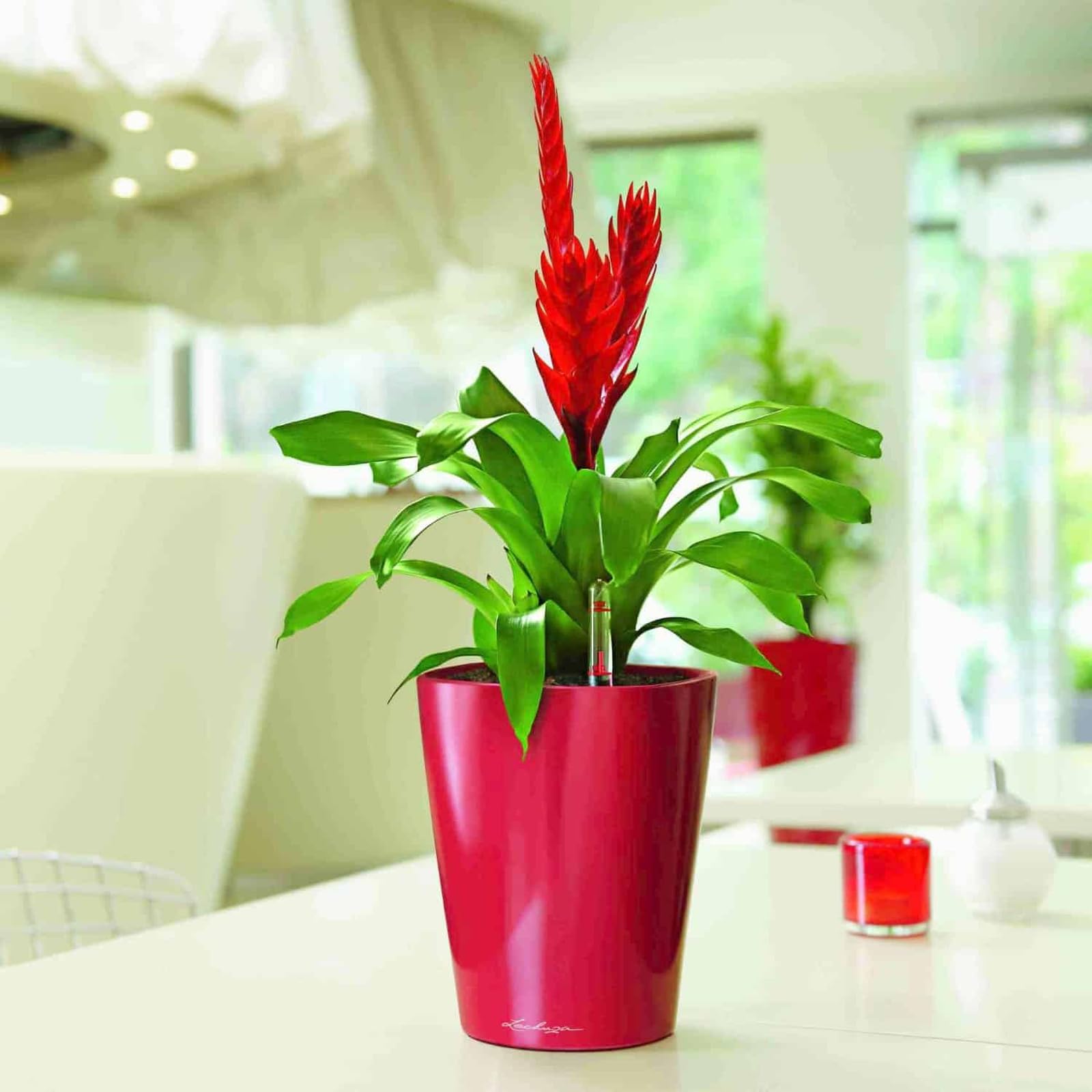Lechuza Deltini Tischgefäß 14x14x18 Pflanztopf scarlet rot