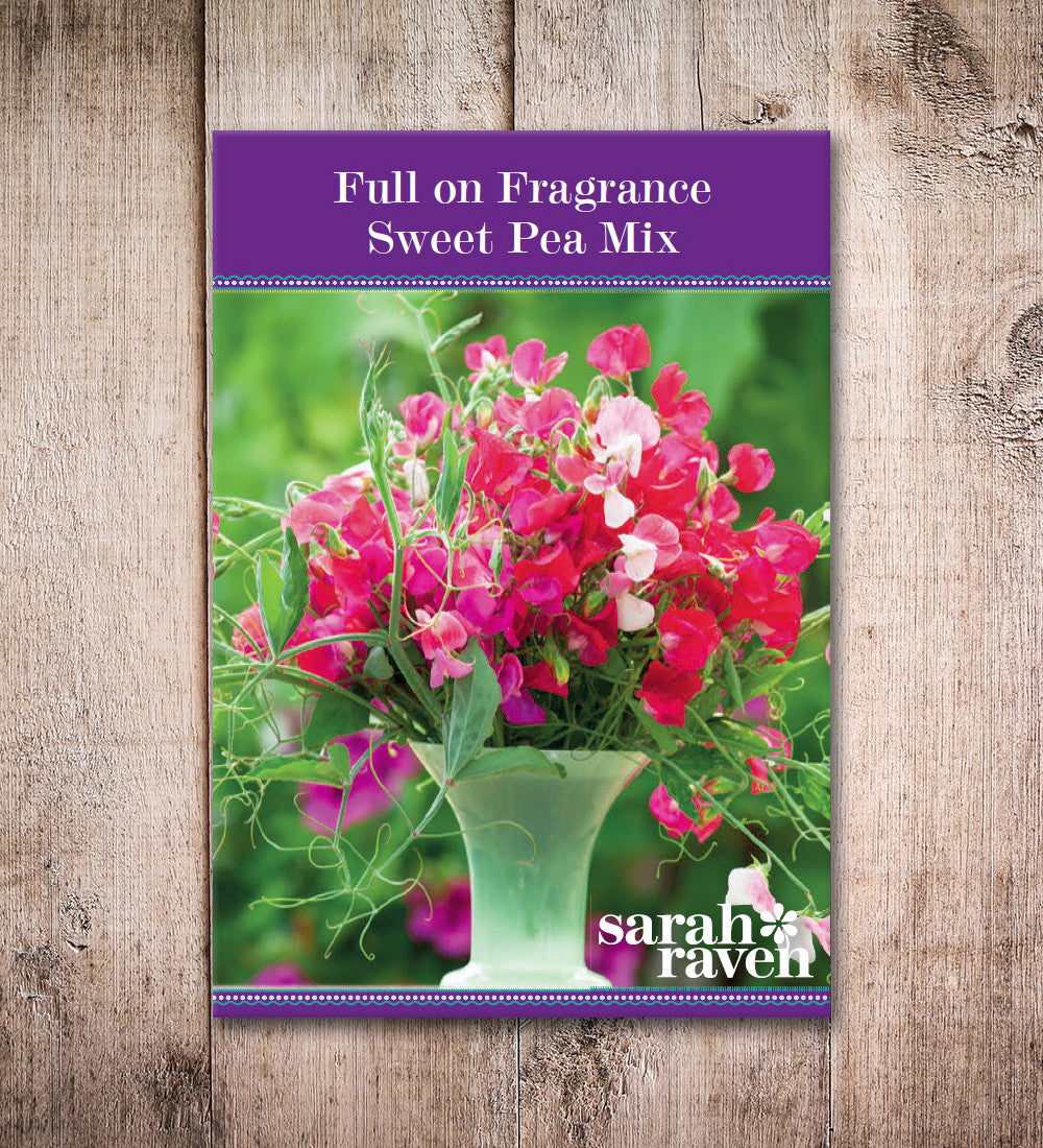 Sarah Raven Seeds Sweet Pea Duftwicke 20 Samen stark duftend pink