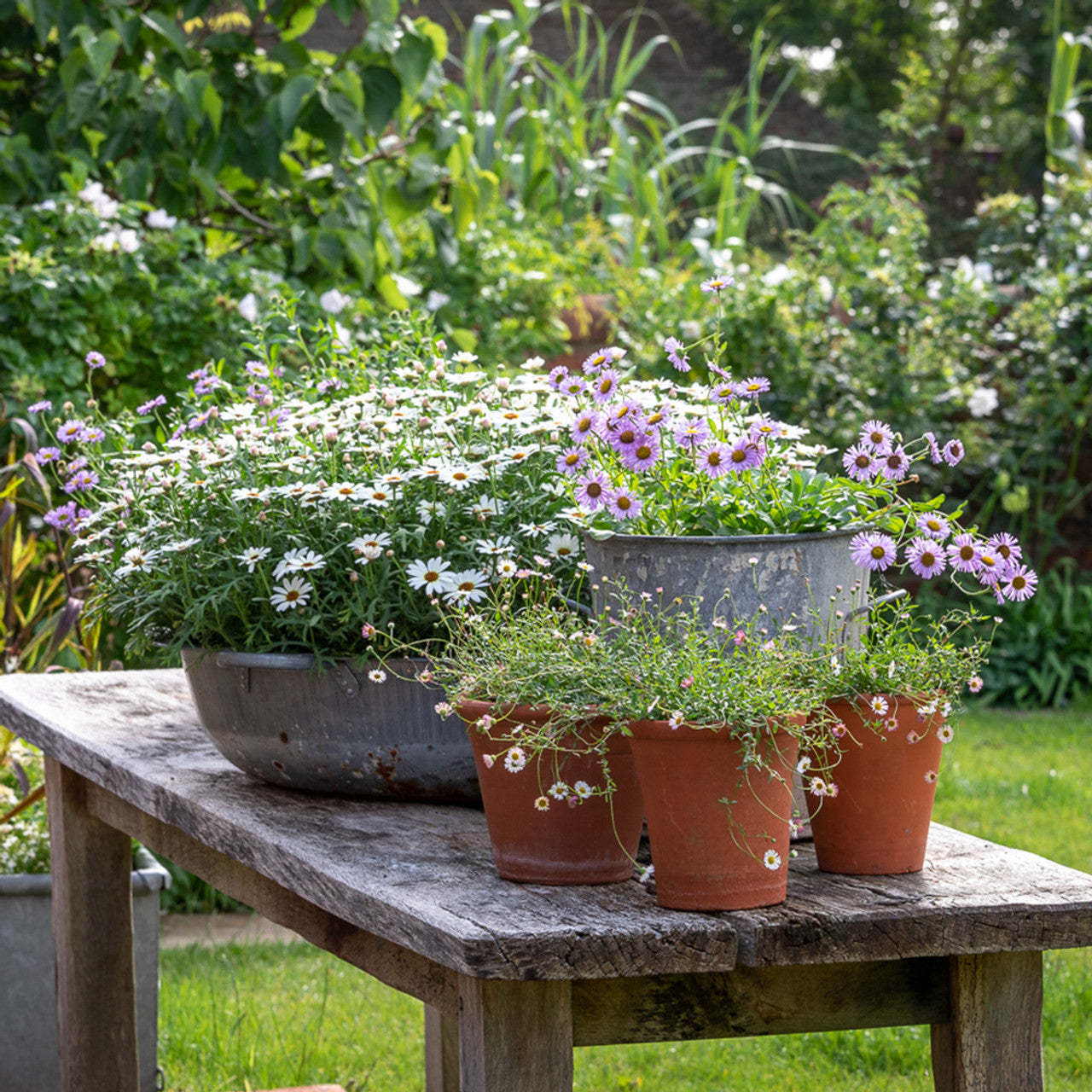 Sarah Raven Spectacular Pots Kurs Rutland 14. Oktober Tag