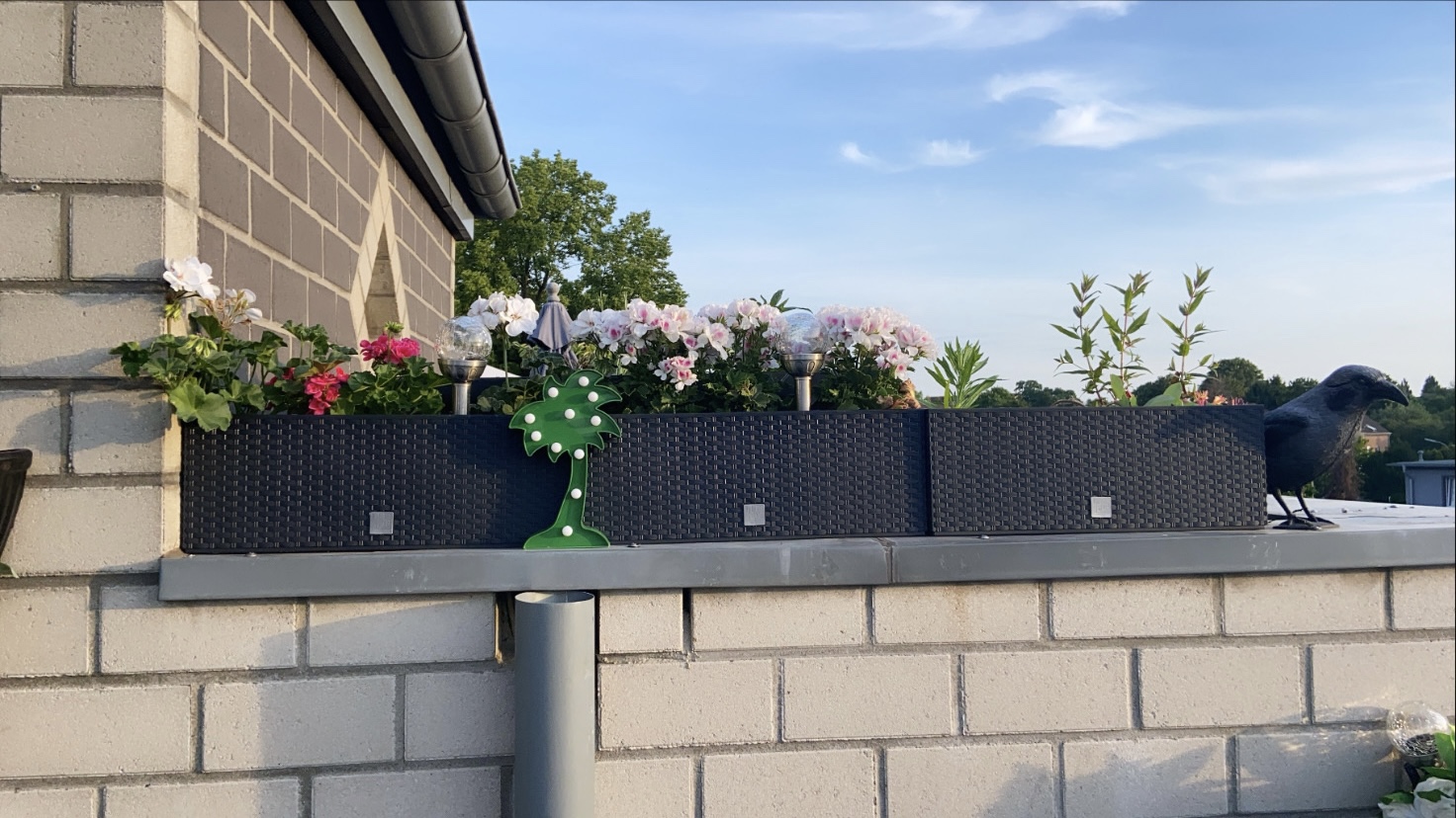 Prosperplast Rato Case Blumenkasten anthrazit 17L Bewässerung