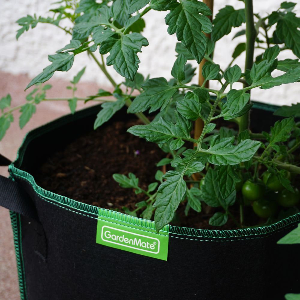 GardenMate Greenline Pflanzsack 30 Liter 3er Set Vlies