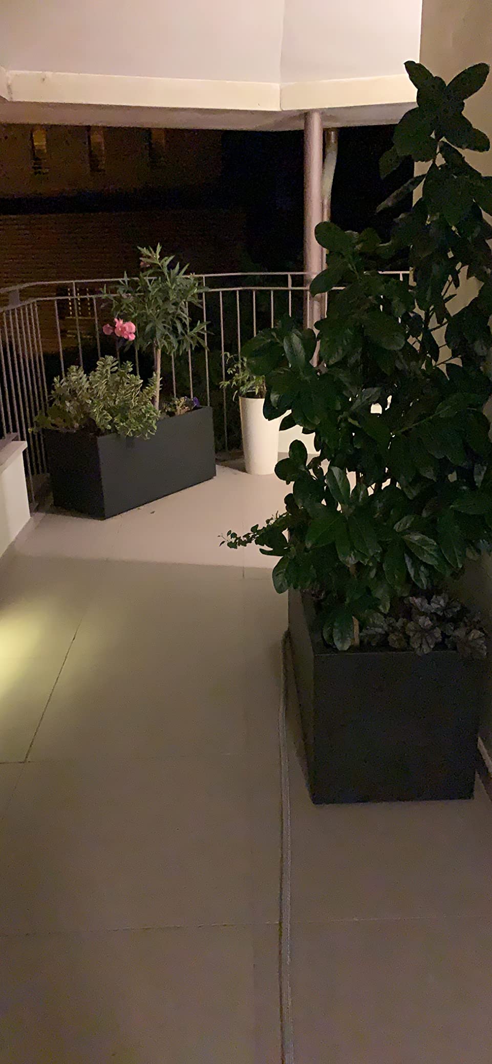 elho Vivo Long Blumenkasten weiß 90 cm mit Rollen