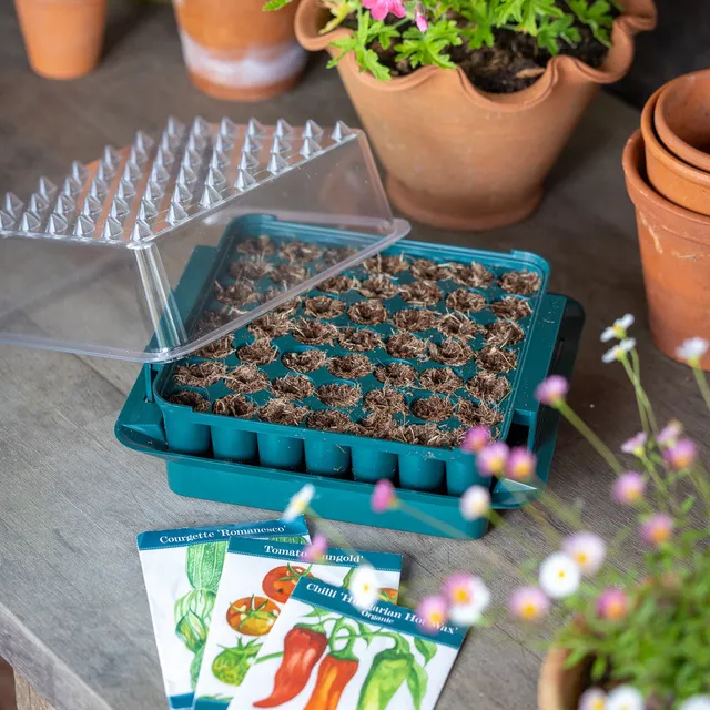 Sarah Raven Seedling Propagator Anzuchtbox 23cm für Fensterbank