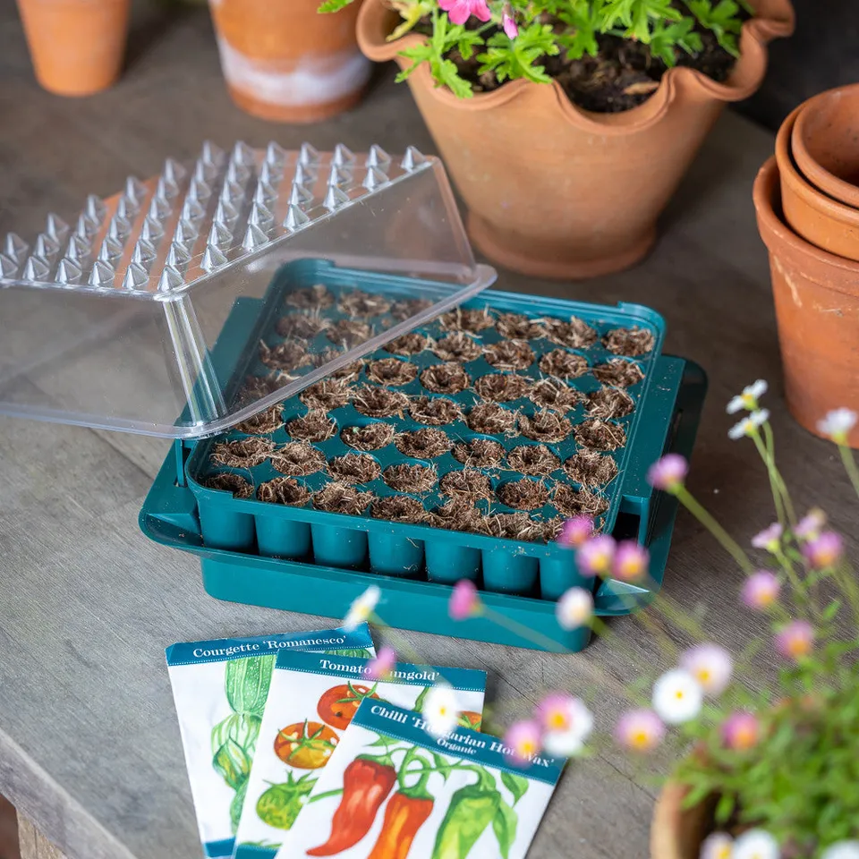 Sarah Raven Seedling Propagator Anzuchtbox 23cm für Fensterbank
