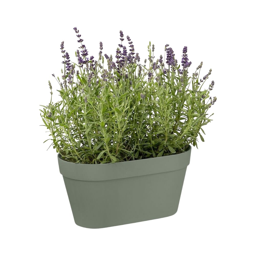 elho Loft Urban Green Wall Duo Balkonkasten Pistazien Grün