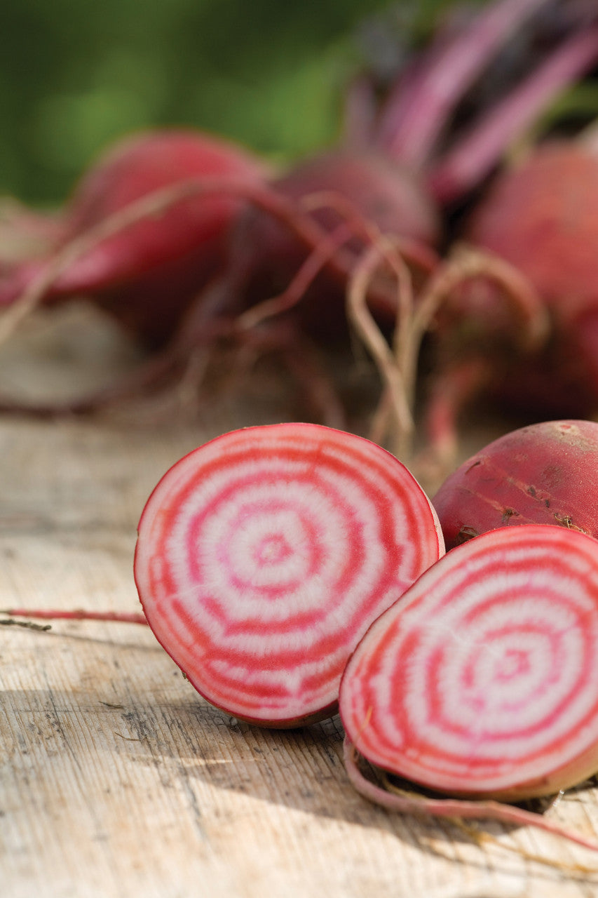 Sarah Raven Seeds Rote Bete Samen Kollektion 3 Packungen
