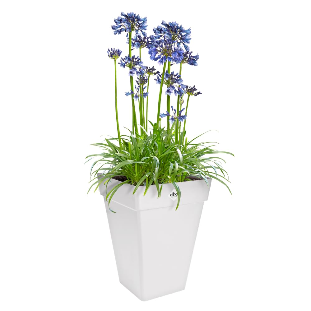 elho Loft Urban Hoch 30cm Blumentopf Weiß eckig