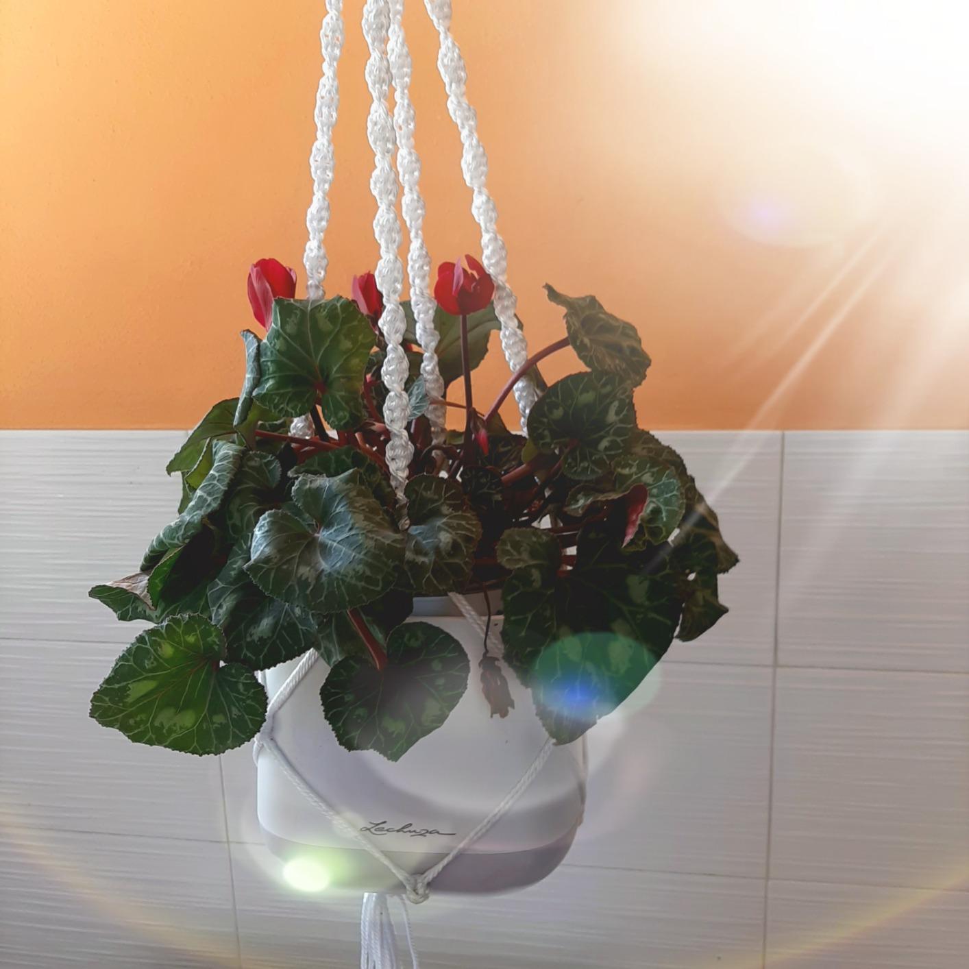 Lechuza Yula Makramee Blumenampel Weiß 85 cm