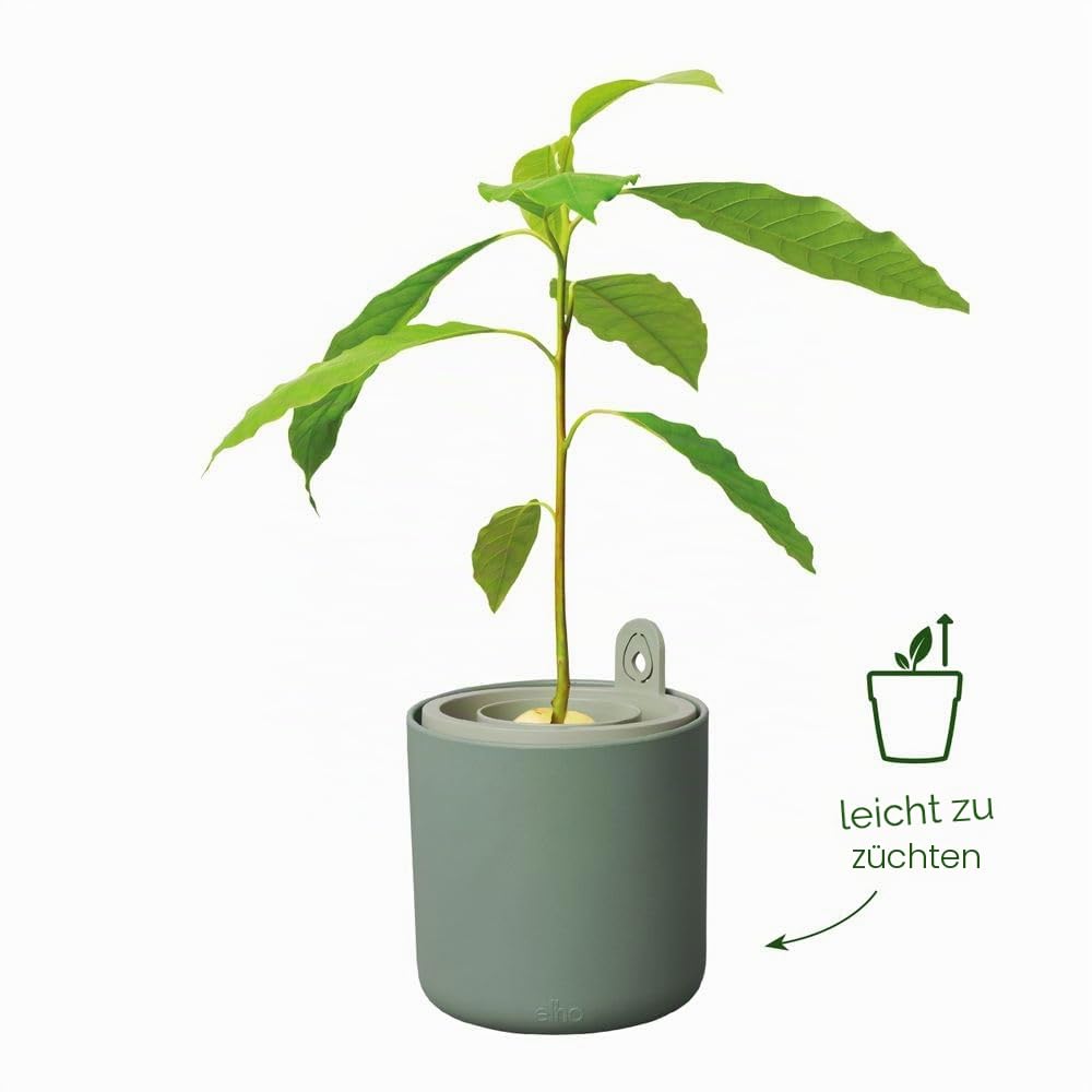 elho Amazing Avocado Pot Blumentopf leaf green 12 cm recycelt
