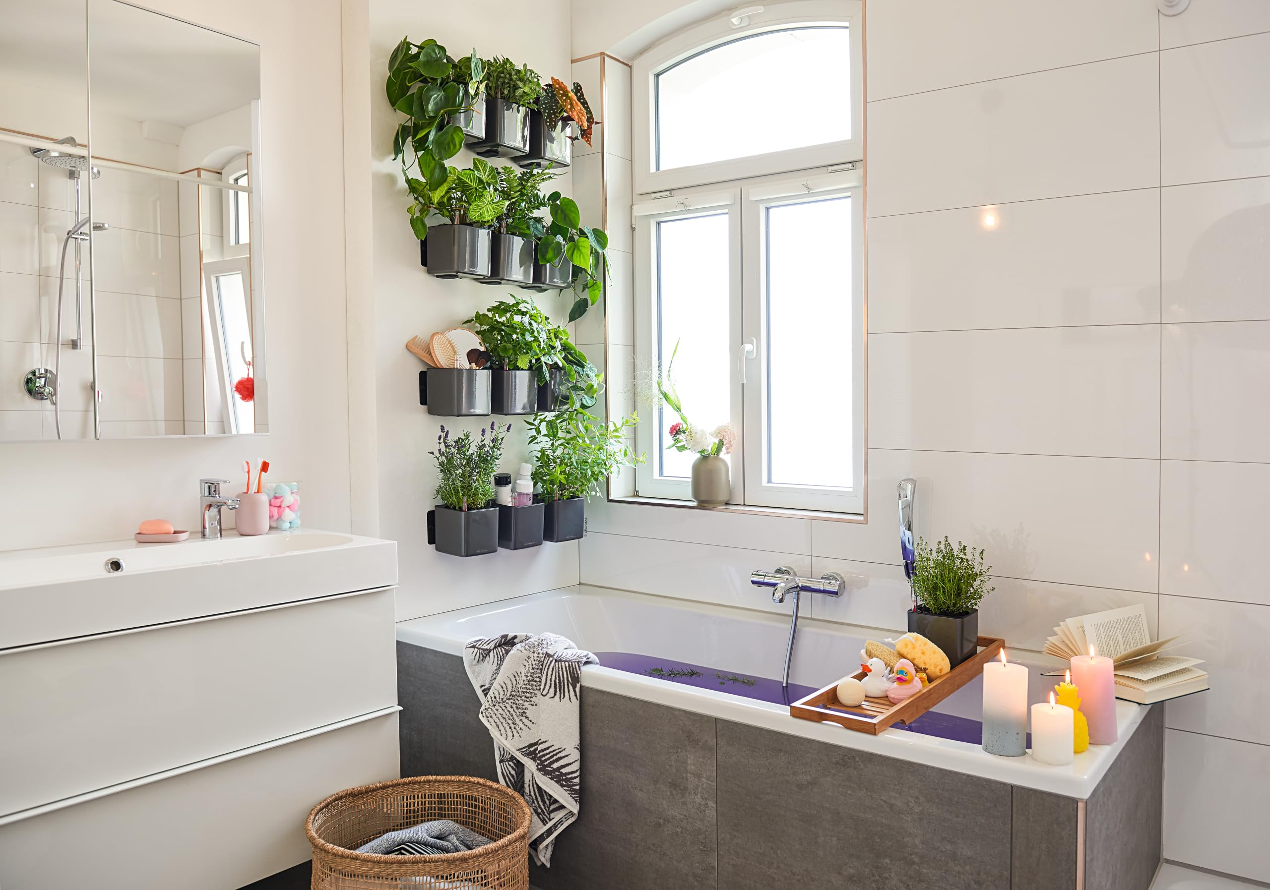 Lechuza Green Wall Cube Premium Wand Anthrazit Hochglanz