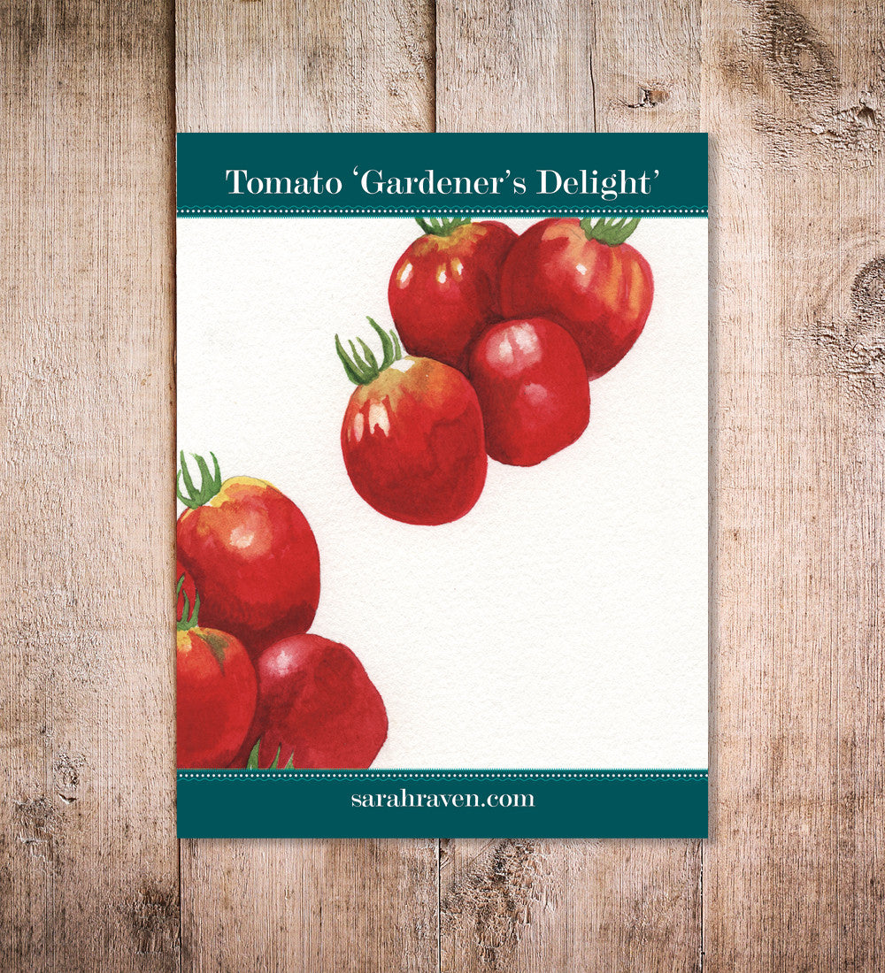 Sarah Raven Tomato Gardener's Delight Samen 50 Stück Kirschtomate