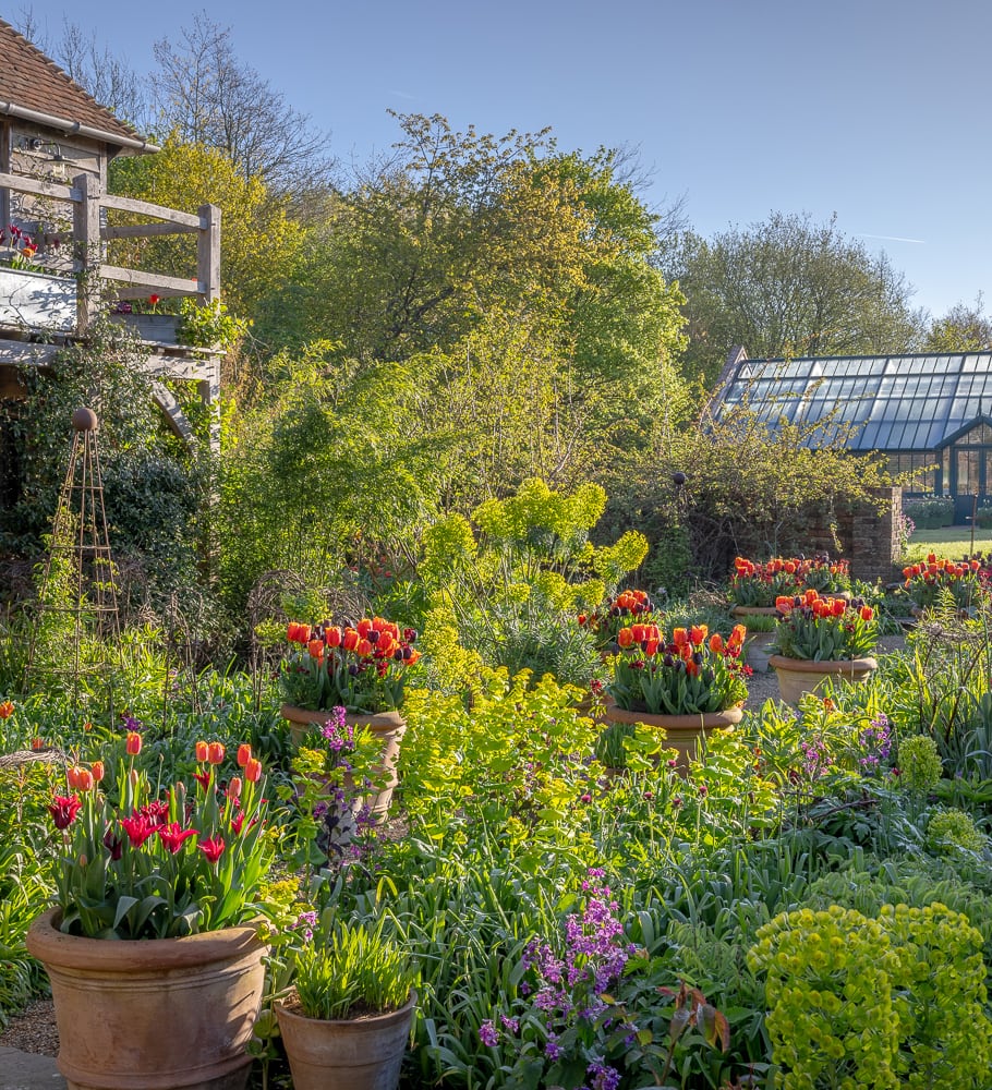 Sarah Raven Courses Kaleidoscope Garden Kurs 25. September Perch Hill