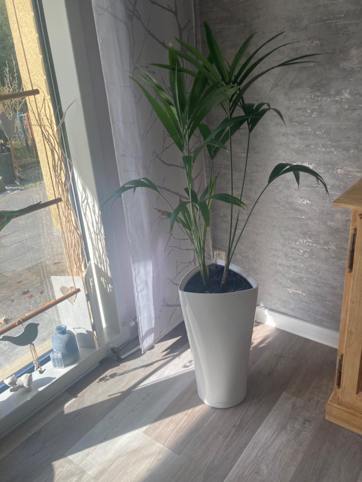 Lechuza Delta Premium 30 Pflanzsäule Anthrazit Metallic