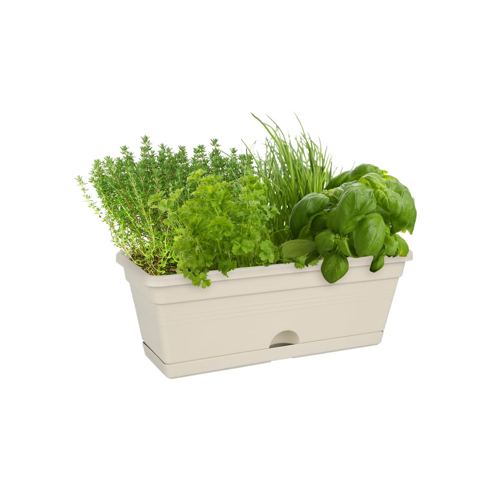 elho Green Basics Balkonkasten Mini 30 Baumwolle frostsicher