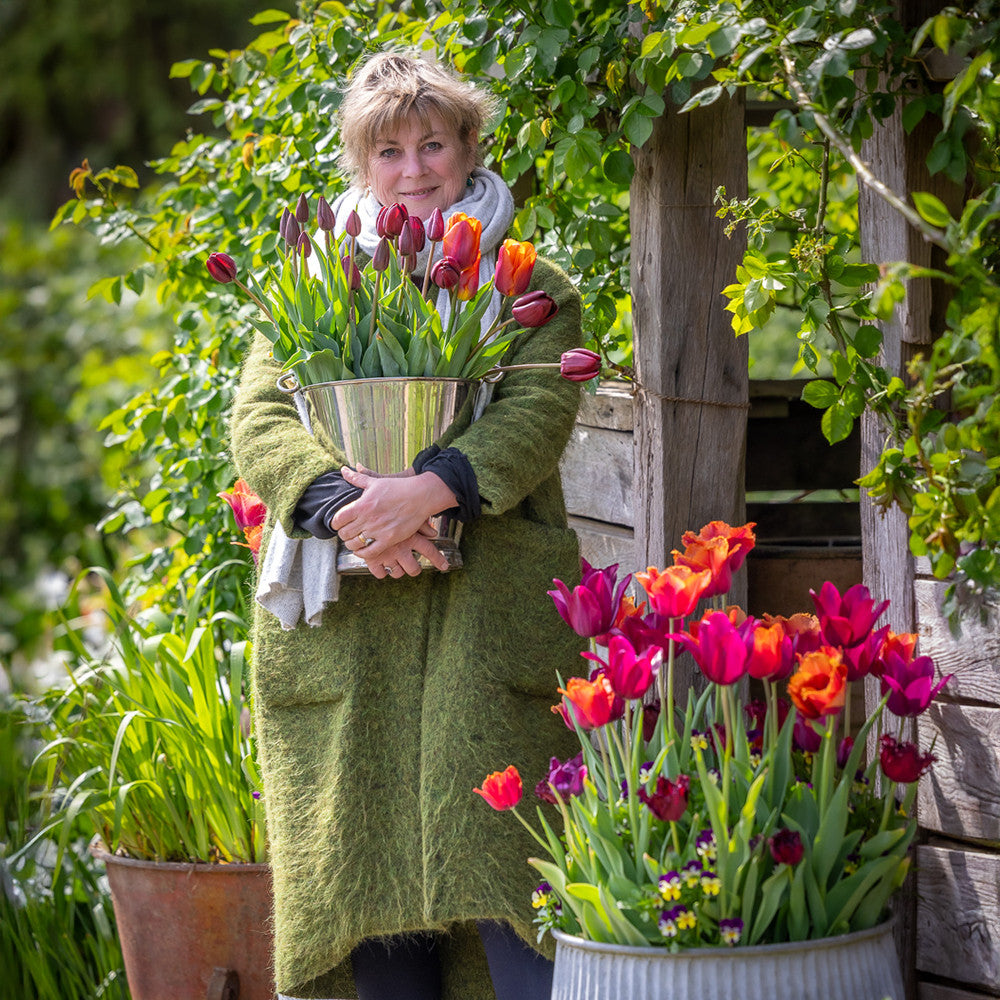 Sarah Raven Bulbs Chelsea Tulpen Kollektion Zwiebeln 30 Stück rot