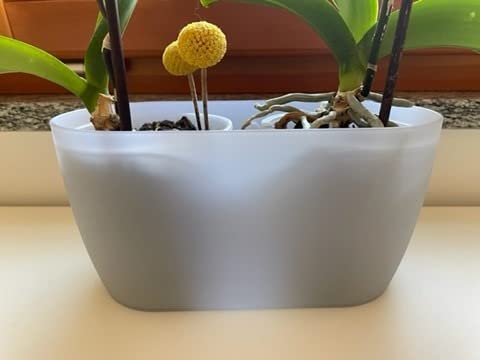 elho Brussels Orchidee Duo Blumentopf 25 cm transparent Doppel