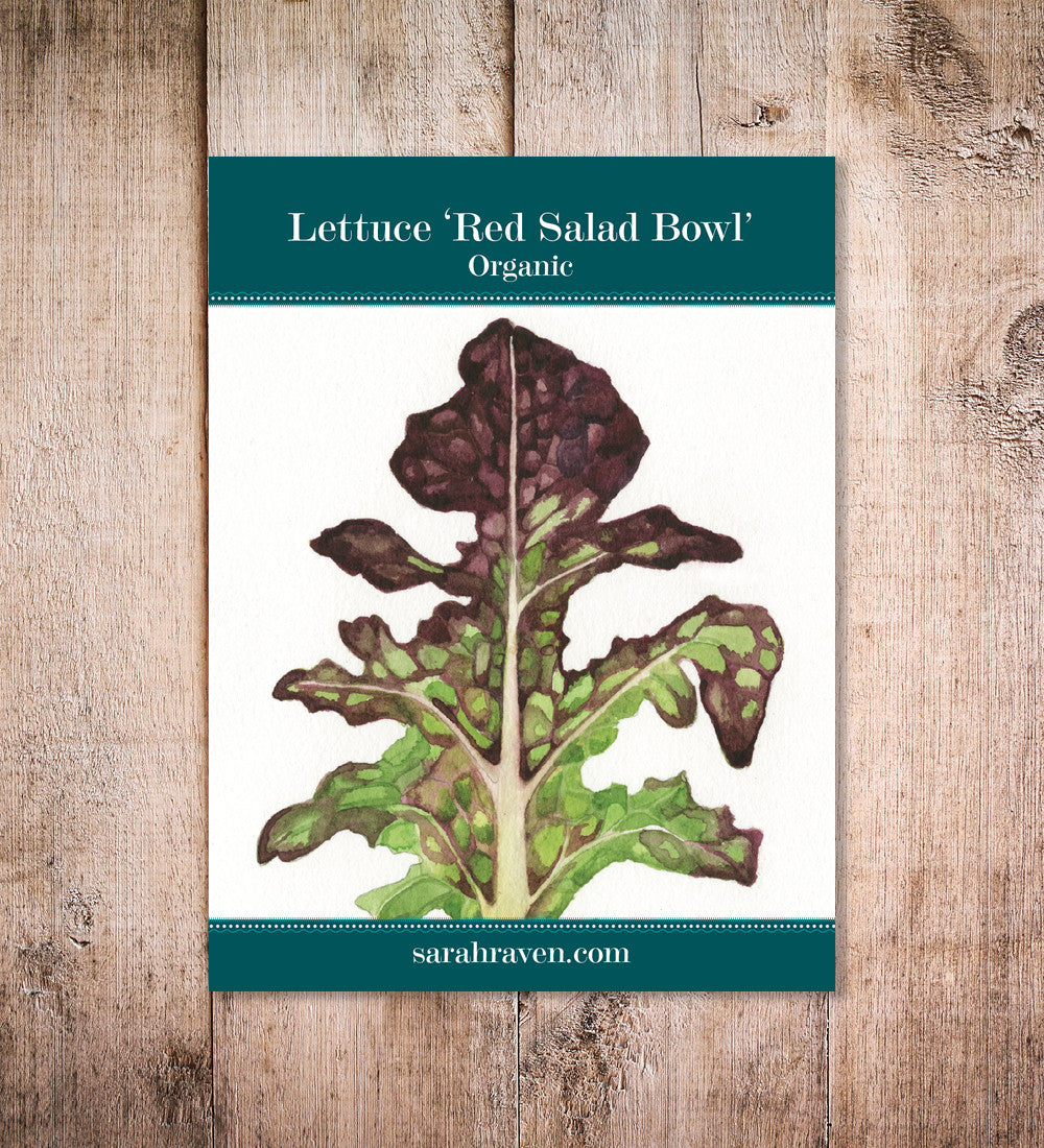 Sarah Raven Seeds Salat Red Salad Bowl Samen 250 Stk bio
