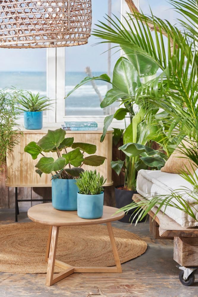 elho Ocean Collection Rund 22 Blumentopf Atlantikblau recycelt