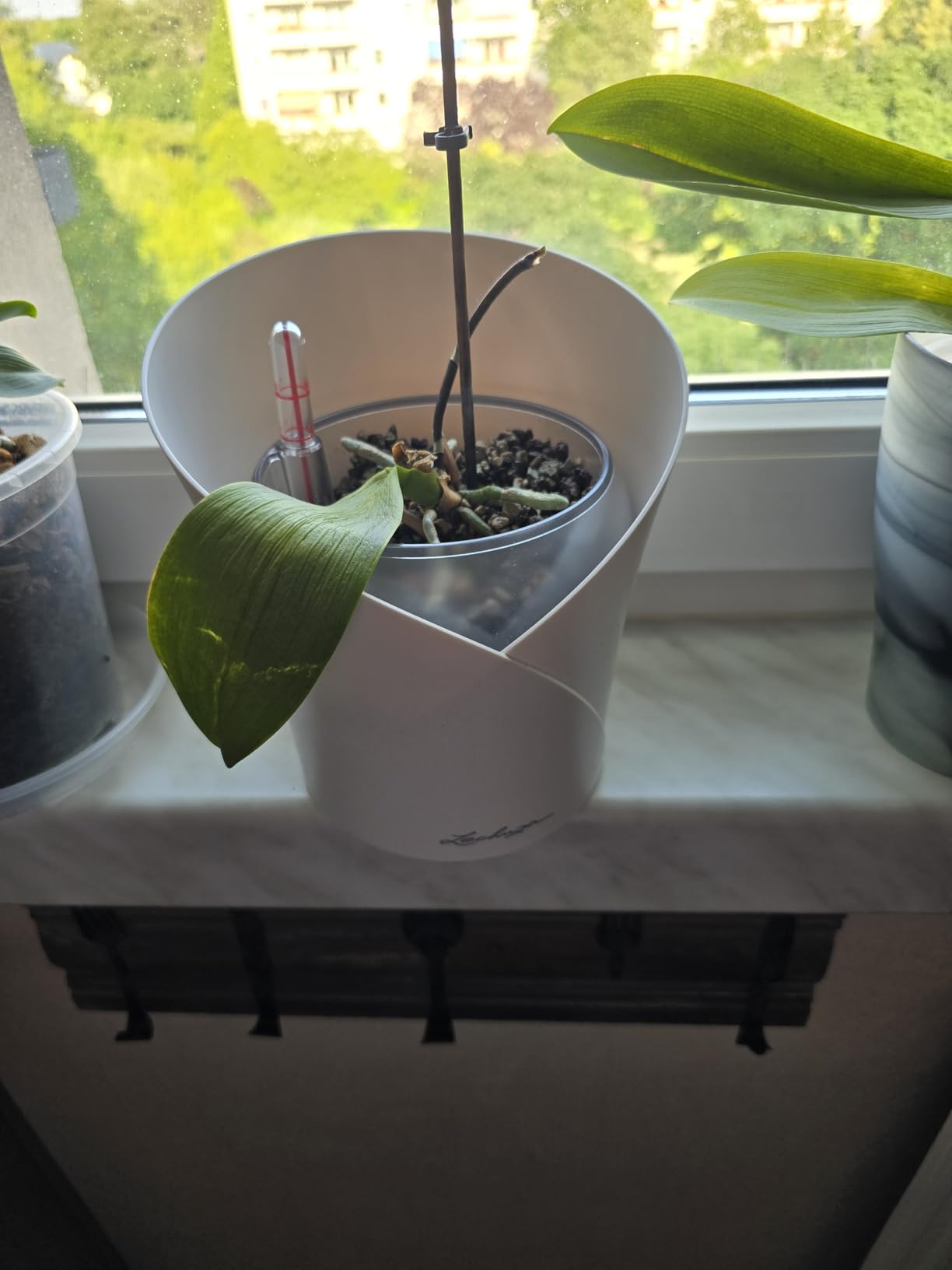 Lechuza Orchidea Color Orchideentopf Weiß Ø18cm Dochtsystem