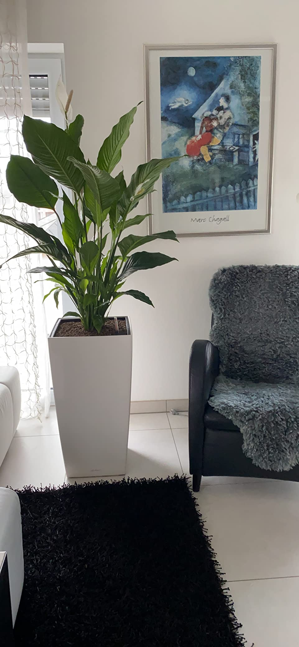 Lechuza CUBICO Premium 22 Pflanztopf Silber Bewässerung