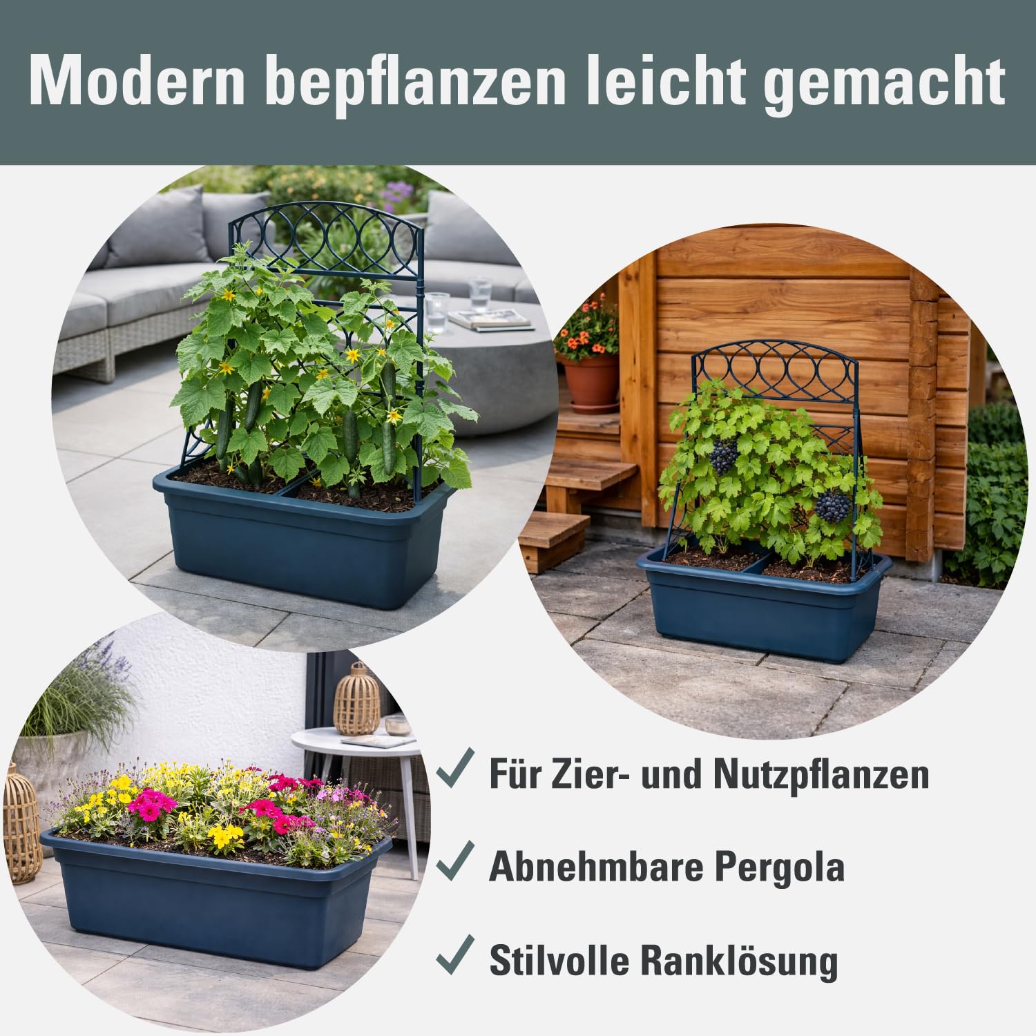 Prosperplast Ratolla Pflanzkübel Anthrazit 58x78 cm
