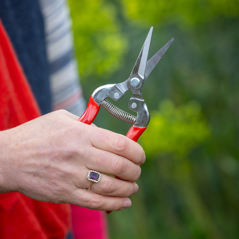 Sarah Raven Flower Snips Blumenschere 1 Paar rot 19cm