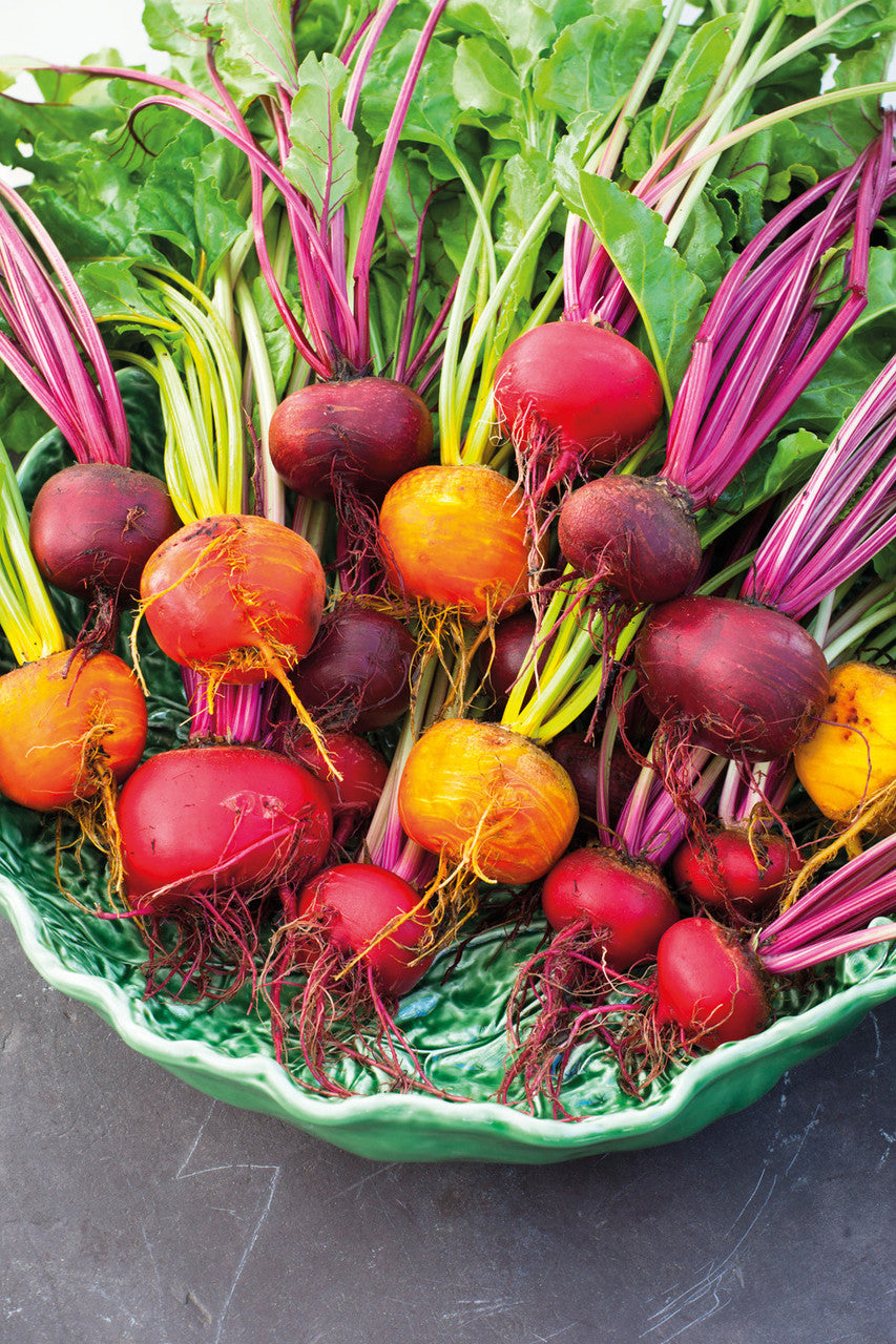 Sarah Raven Seeds Rote Bete Samen Kollektion 3 Packungen
